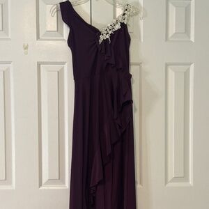 Plum Dance Costume Dress